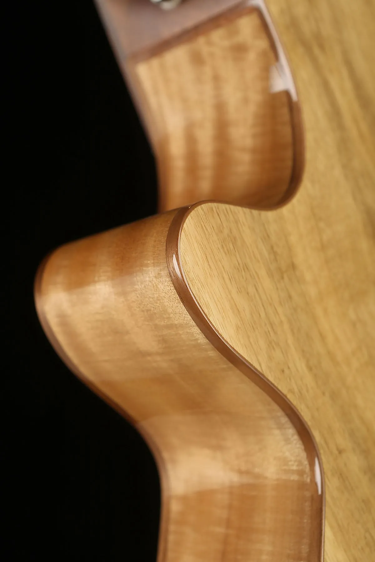 Cort SFX-Myrtlewood Acoustic Electric Guitar