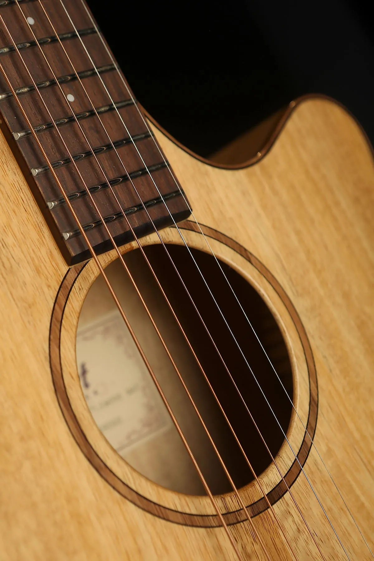 Cort SFX-Myrtlewood Acoustic Electric Guitar