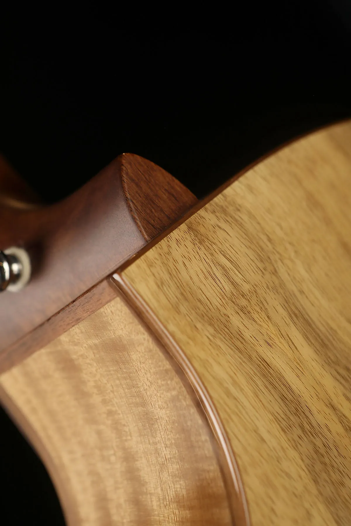 Cort SFX-Myrtlewood Acoustic Electric Guitar