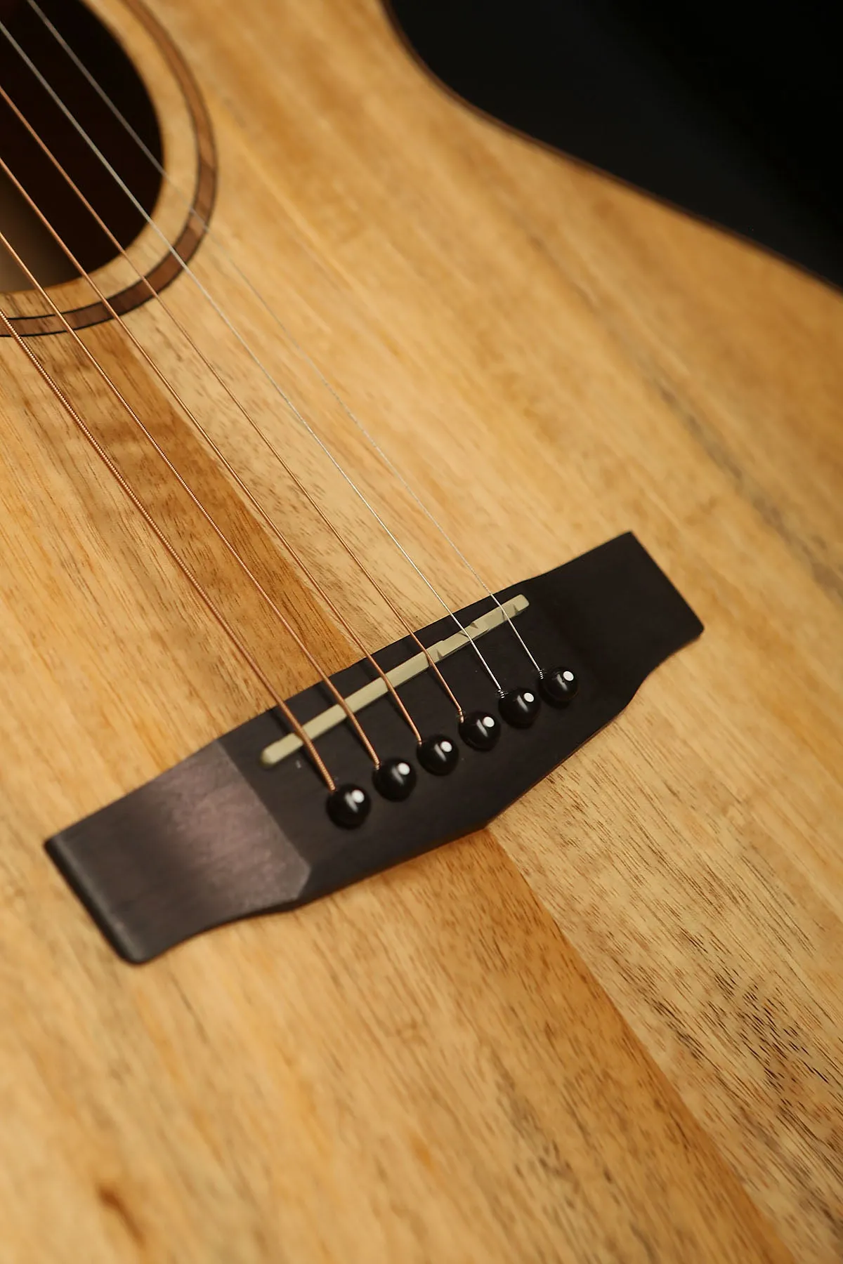 Cort SFX-Myrtlewood Acoustic Electric Guitar