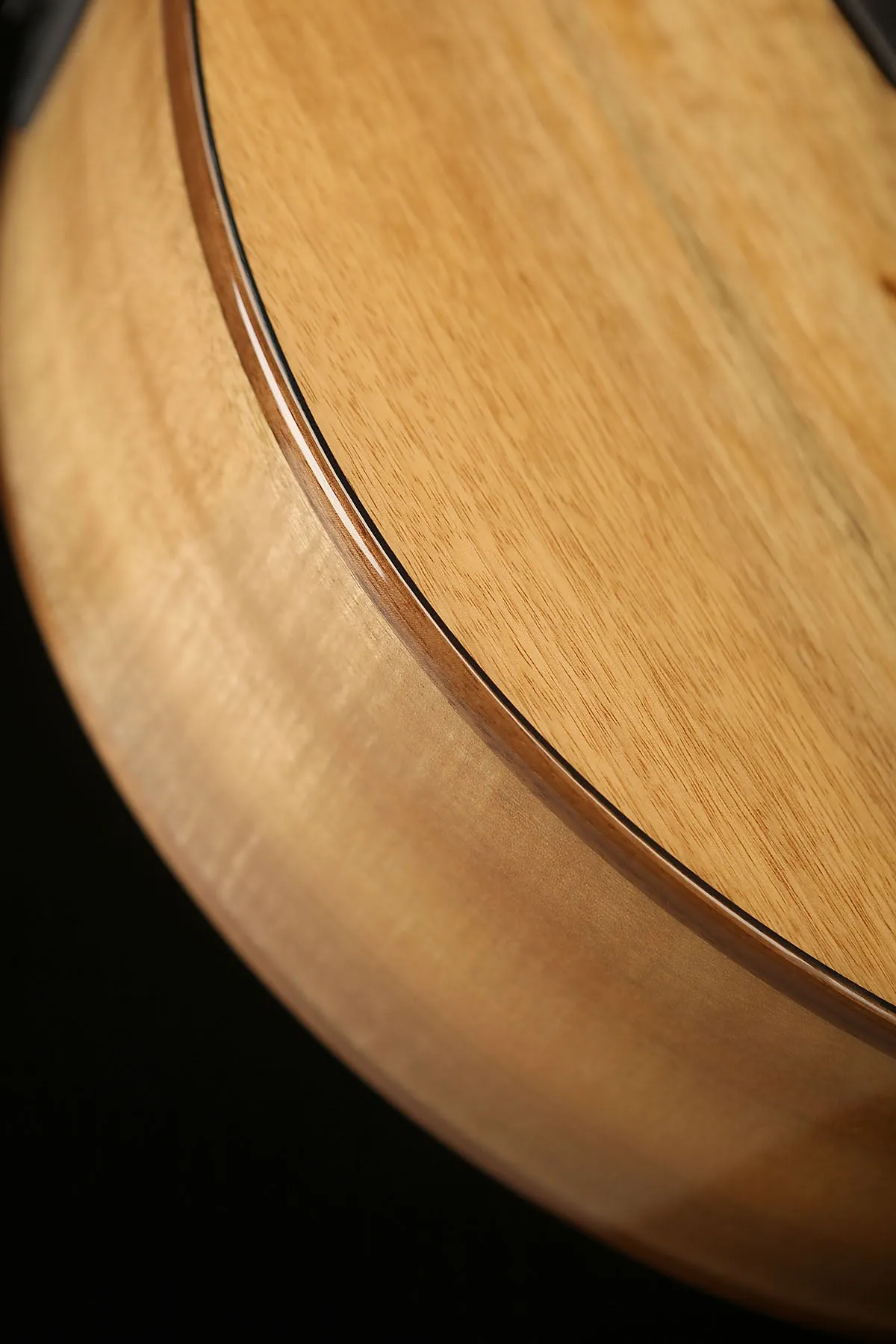 Cort SFX-Myrtlewood Acoustic Electric Guitar