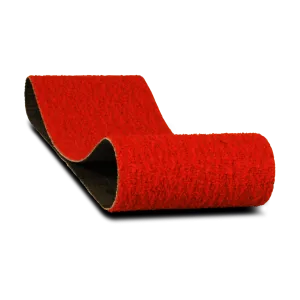 Diablo 3 in. x 21 in. Sanding Belt