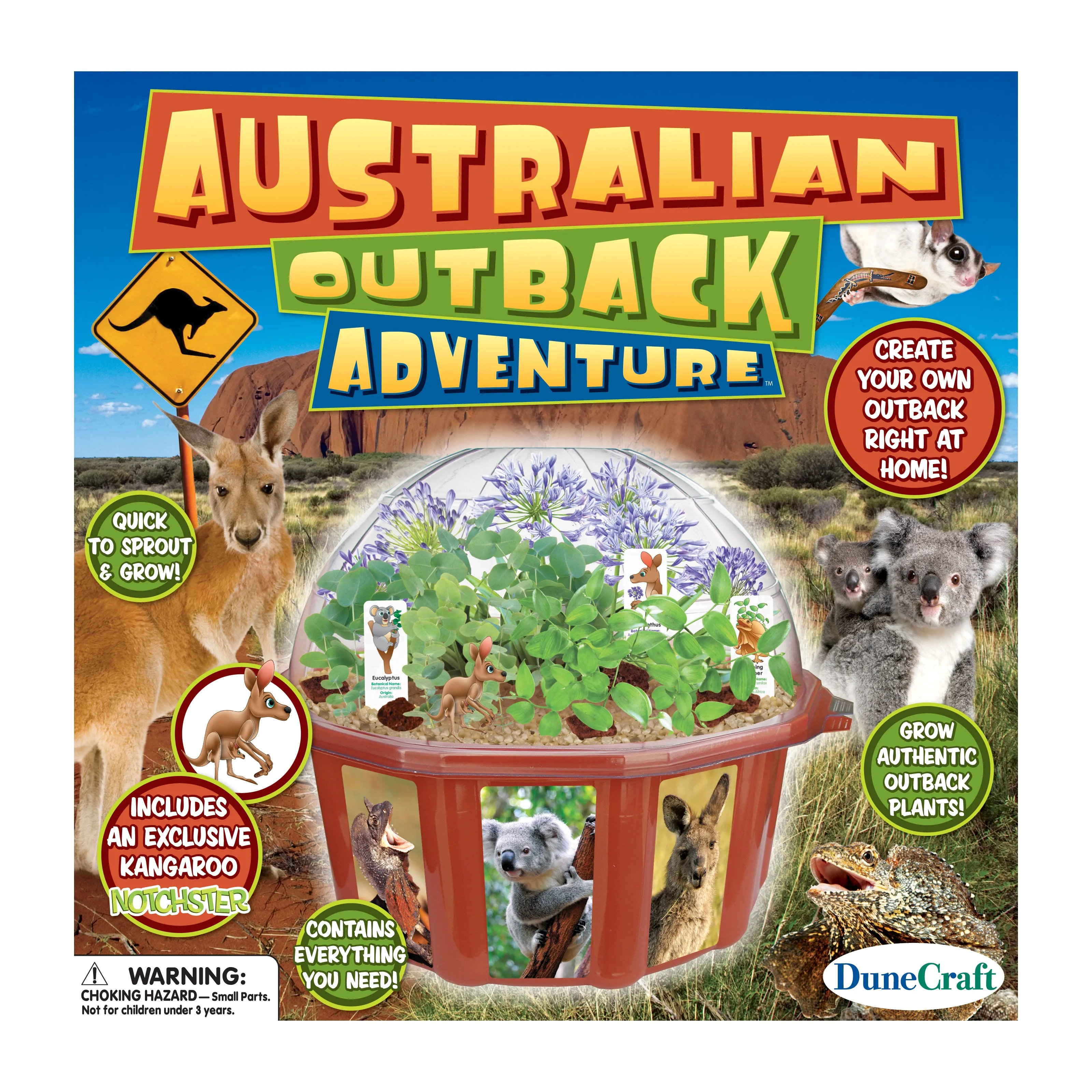 Dome Terrarium - Austrailian Outback Adventure