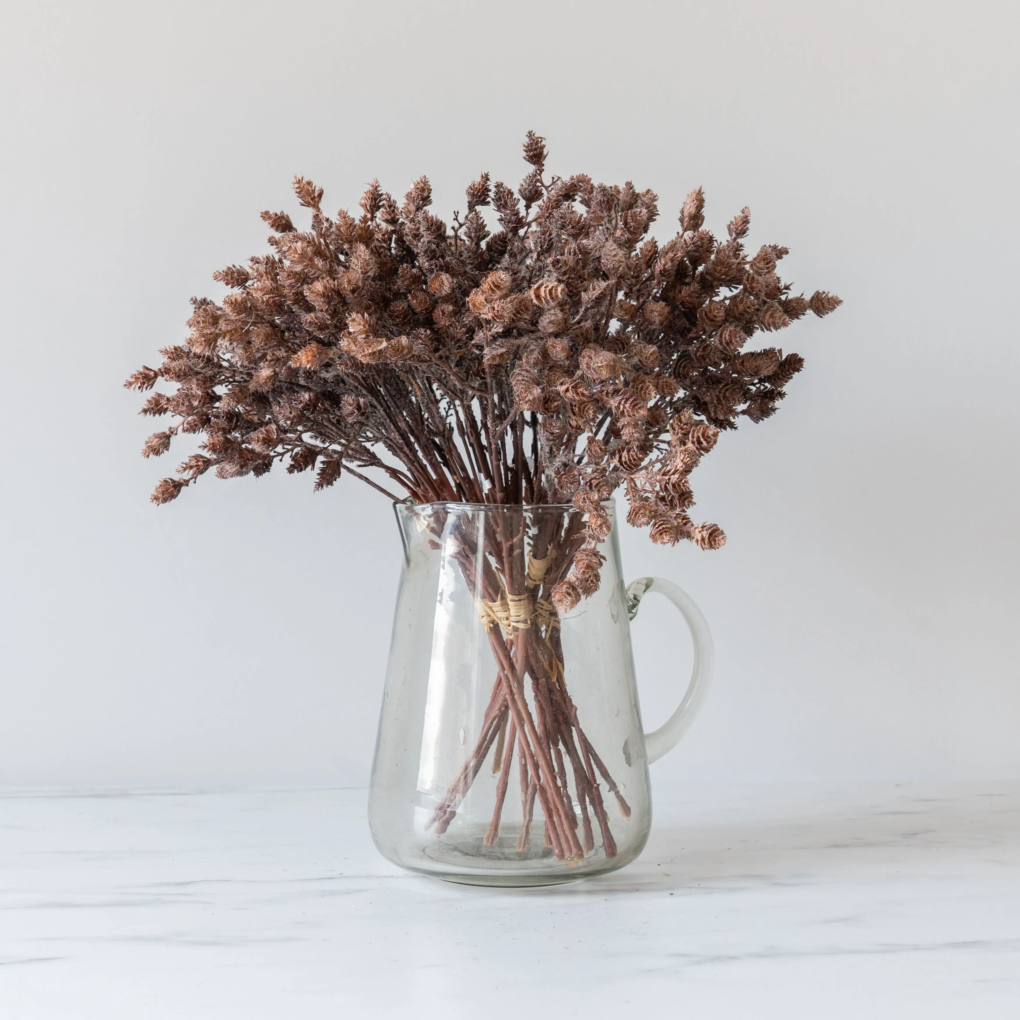 Ibina Pitcher