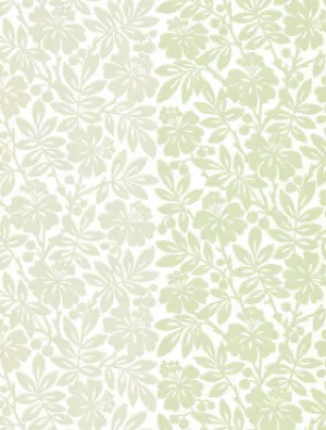 Little Greene Wallpaper Carlisle Street Orchard