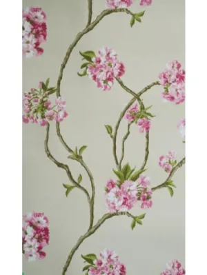 Sylvana Orchard Blossom (Wa3) NCW4027-01