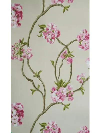 Sylvana Orchard Blossom (Wa3) NCW4027-01