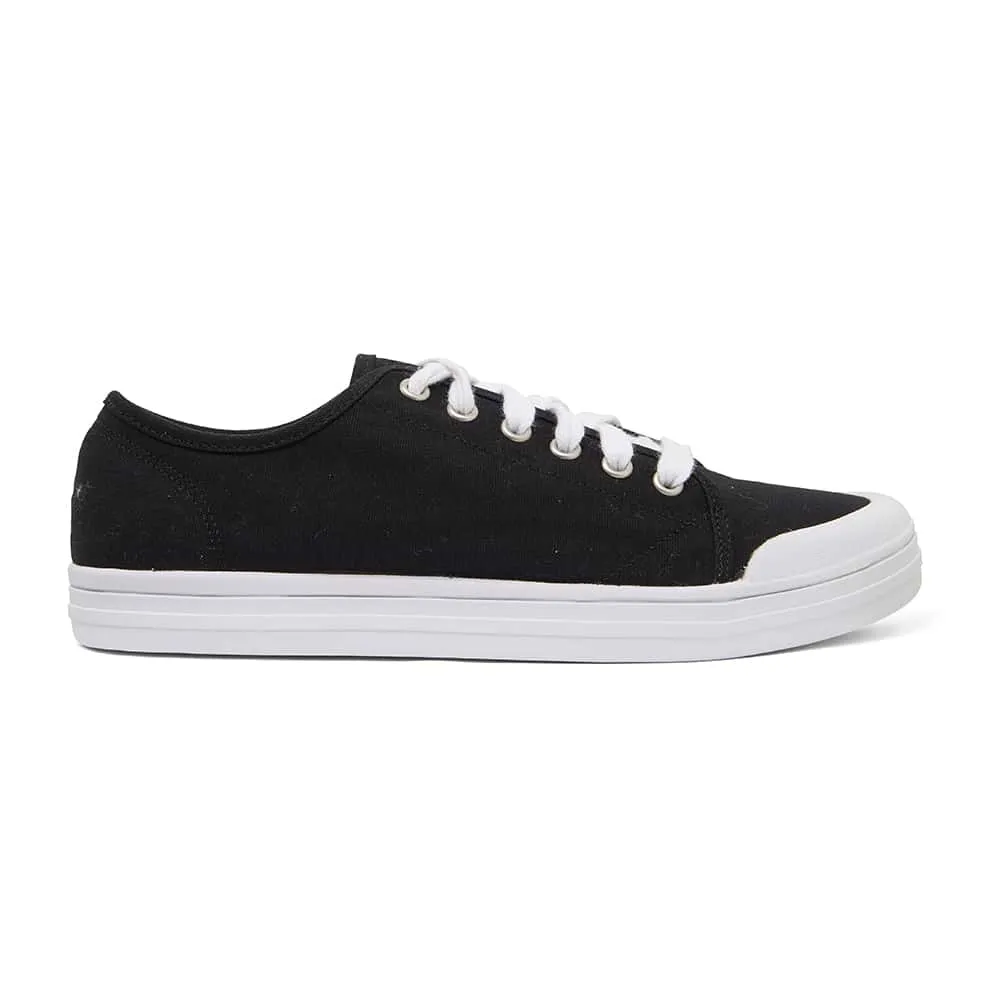 Ventura Sneaker in Black Canvas